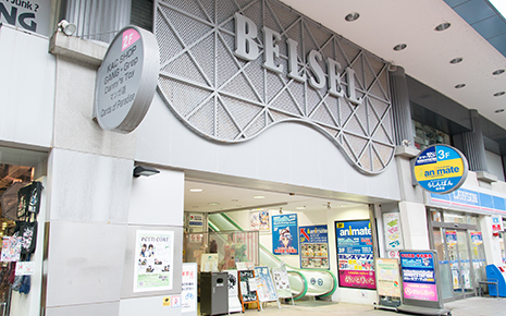 belsel